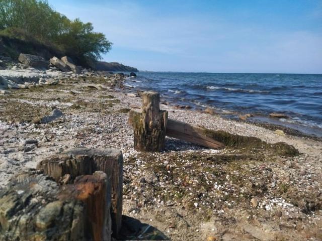 Gdynia Apartament Torpedownia Luaran gambar